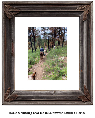 horseback riding near me in Southwest Ranches, Florida